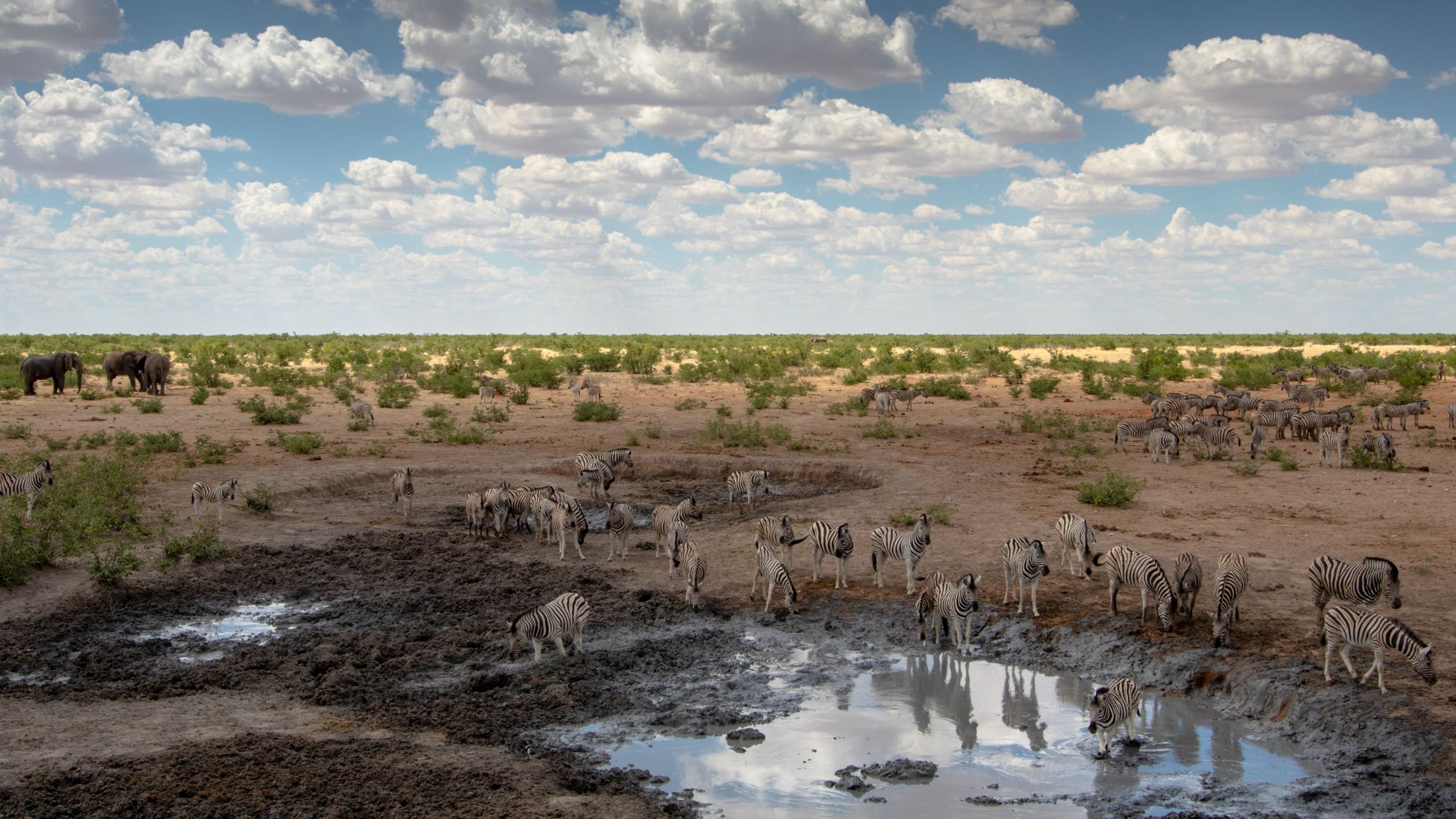 Content project for the Academy for Environmental Leadership